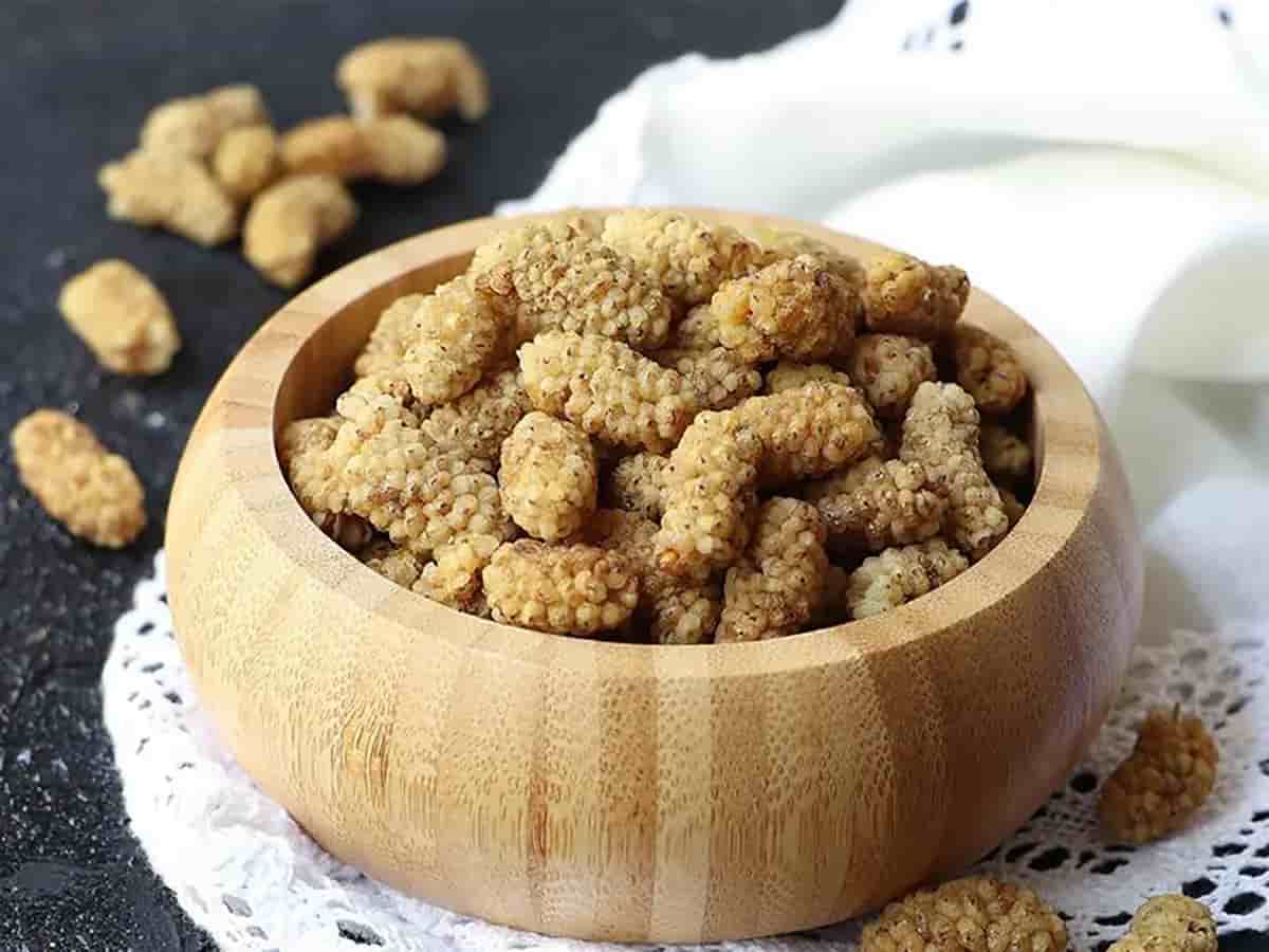 تصویر 1 از فروش توت سفید خشک ملین + قیمت خرید به صرفه